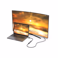 Equip 133446 câble vidéo et adaptateur 0,15 m DisplayPort HDMI Noir, Gris