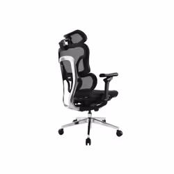 Equip 651051 chaise et fauteuil de bureau Siège respirant Dossier grillagé