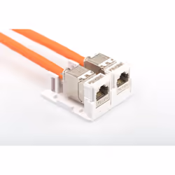 ASSMANN Electronic DIGITUS Boîtier de point de consolidation pour 2 modules Keystone