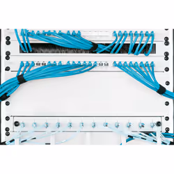 Digitus Plaque de recouvrement pour armoires de 483 mm (19 po)