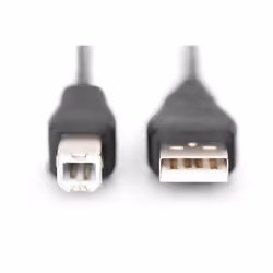 Digitus Câble de raccordement USB 2.0, USB A – USB B