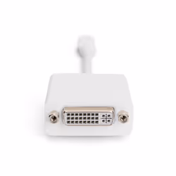 Digitus Adaptateur / convertisseur Mini DisplayPort, MiniDP vers DVI-I