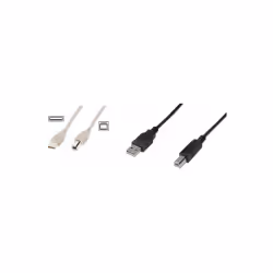 Digitus Câble de raccordement USB 2.0, 5 m, USB A, USB B, USB 2.0, Mâle/Mâle, Beige