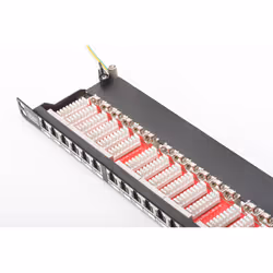 Digitus