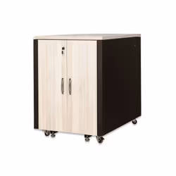 Digitus Armoire SOUNDproof de 483 mm (19 po), Rack autonome, 17U, 1000 kg, Verrouillage des touches, 138 kg, Noir