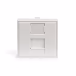 Digitus - Vue supplémentaire 4