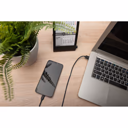 Digitus Câble de raccordement USB Type-C™, Type-C™ vers A