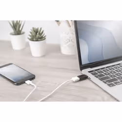Digitus AK-300506-000-S changeur de genre de câble USB C USB A Noir
