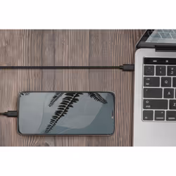 Digitus Câble de raccordement USB Type-C™