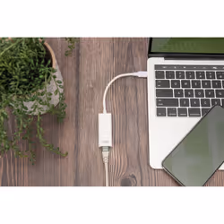 Digitus Adaptateur Ethernet Gigabit USB de Type-C™