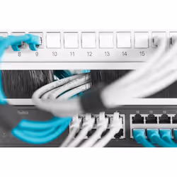 Digitus