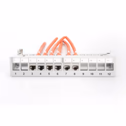 Digitus - Vue supplémentaire 7