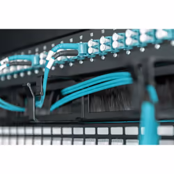 Digitus