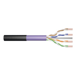 Digitus
