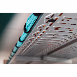Digitus Hook and loop cable management system, mushroom fastener 5m, hook and loop tape 10m - Vue supplémentaire 7