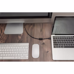 Digitus Câble adaptateur USB Type-C™ Gén. 2, Type-C™ vers DP