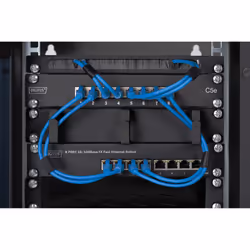 Digitus Étagère 1 UH de 254 mm (10 po)
