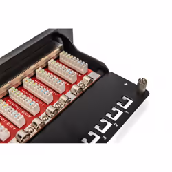 Digitus Panneau de brassage Cat. 6a, blindé, 12 ports, 1U, 10", noir - Vue supplémentaire 6