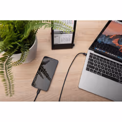 ASSMANN Electronic AK-880908-010-S câble USB 1 m USB 2.0 USB C Noir