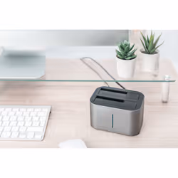 Digitus Station d’accueil pour deux disques durs SATA 2,5"/3,5" USB 3.0