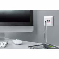 Digitus Boîtier de chargement pour smartphones/tablettes avec 2 x USB A, 1 x USB Type-C™, 3100 mA, UP