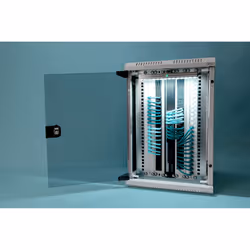 Digitus Boîtier mural combiné 254 mm (10") et 482,6 mm (19")