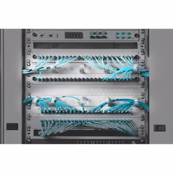 Digitus Panneau de rangement de câbles avec anneaux de câbles remplaçables pour armoires de 482,6 mm (19 po)