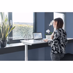 Digitus Bureau réglable en hauteur électriquement