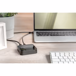 Digitus Station d'accueil dual M.2 pour SSD NVMe avec fonction de clonage hors ligne, USB-C™