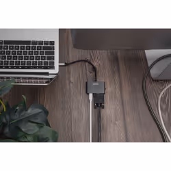Digitus Adaptateur graphique USB Type-C™ 4K 2 en 1 Mini DisplayPort + VGA