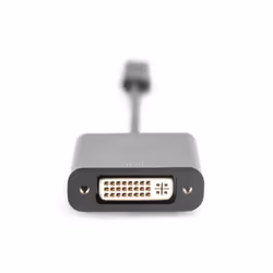 Digitus Adaptateur graphique USB Type-C vers DVI
