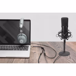 Digitus Répartiteur audio, jack mâle 3,5 mm vers 2 jack femelle 3,5 mm