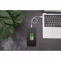Digitus Câble de données/charge Lightning vers USB-C, certifié MFI