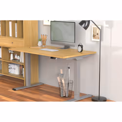 Digitus Piètement de table réglable en hauteur électriquement, deux moteurs, 3 vitesses, gris