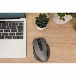 Digitus Souris optique sans fil, 6 boutons, ergonomique