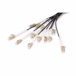 Digitus Câble breakout fibre optique universel préassemblé, multimode OM4, 12 fibres, LC/UPC – LC/UPC, 75 m, U-DQ(ZN) BH, OM4 ...