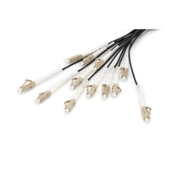 Digitus Câble breakout fibre optique universel préassemblé, multimode OM4, 12 fibres, LC/UPC – LC/UPC