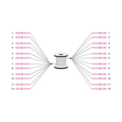 Digitus Câble breakout fibre optique universel préassemblé, multimode OM4, 12 fibres, LC/UPC – LC/UPC