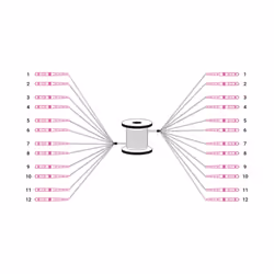 Digitus Câble breakout fibre optique universel préassemblé, multimode OM4, 12 fibres, LC/UPC – LC/UPC, 30 m, U-DQ(ZN) BH, OM4 ...