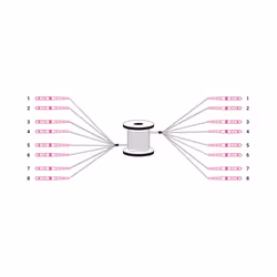 Digitus Câble breakout fibre optique universel préassemblé, multimode OM4, 8 fibres, LC/UPC – LC/UPC, 150 m, U-DQ(ZN) BH, OM4 ...