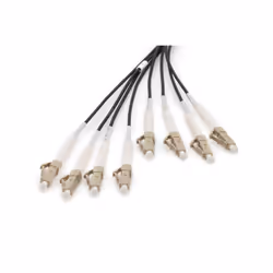 Digitus Câble breakout fibre optique universel préassemblé, multimode OM4, 8 fibres, LC/UPC – LC/UPC