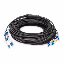 Digitus Câble breakout fibre optique universel préassemblé, multimode OS2, 8 fibres, LC/UPC – LC/UPC, 75 m, U-DQ(ZN) BH, OS2, ...