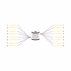 Digitus Câble breakout fibre optique universel préassemblé, multimode OS2, 8 fibres, LC/UPC – LC/UPC, 150 m, U-DQ(ZN) BH, OS2 ...