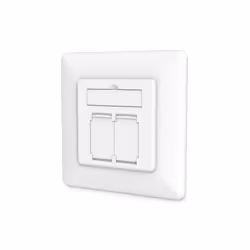 Digitus Prise réseau CAT 6A Classe Ea, de conception compatible, blindée, montage encastré, 2 x RJ-45, 1 module(s), 6a, 500 M ...