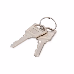 Digitus Clé pour armoires de chargement, Clé de verrouillage, Argent, Chine, 2 mm, 45 mm, 20 mm