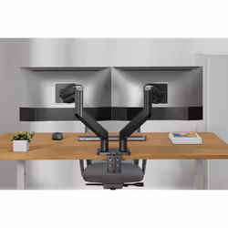 Digitus Support d'écran double, 2x 45", 2x 20 kg - Vue supplémentaire 3