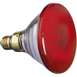 Ampoule halogène pour effet lumineux Eurolite Par-38 FL rot 230 V E27 80 W N/A à intensité variable