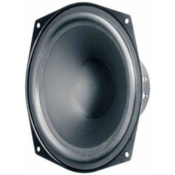 Boomer Visaton WS 20 E