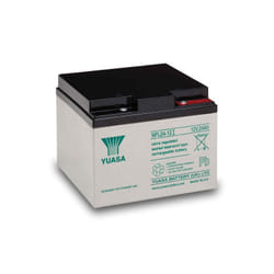 Yuasa - Batterie Plomb 12V 24Ah NPL24-12I