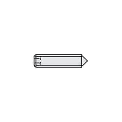 Toolcraft - vis sans tête 839846 din 916 5 mm acier · 45H · noir M2.5 20 pc(s)